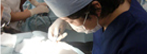 東京皮膚科・形成外科の眼瞼下垂治療法施術風景