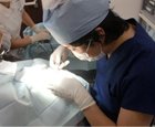 東京皮膚科・形成外科の眼瞼下垂治療法施術風景